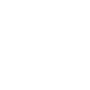 icons8-apple-100